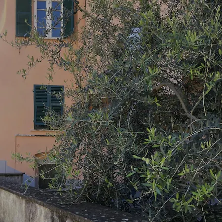 公寓 La Gio Del Fosso *